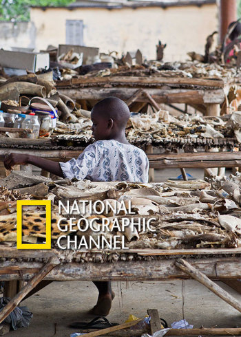 国产男生夜间福利免费网站