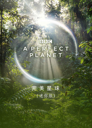 完美星球迷你